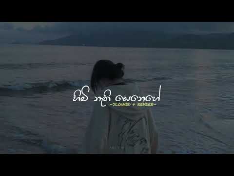 Himi Nathi Senehe | හිමි නැති සෙනෙහේ (Slowed + Reverb)