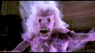 Video Demented Retarded- Sběratel nočních běsů 2015