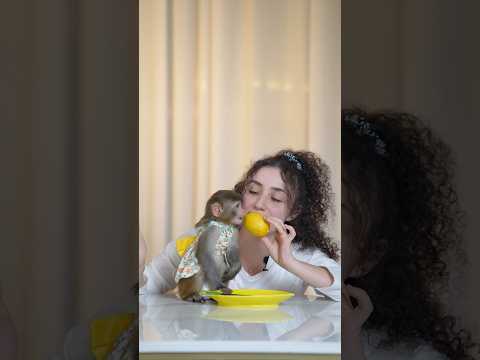 عملت جولة ببيتي لجديد شفتوه 🙊