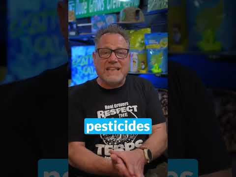 Think rosin is safer than BHO? Think again 🤔