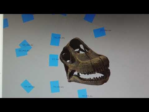 Brachiosaurus skull 3D model Photogrammetry