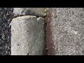 A Big Bunch of Ants by the Curb in Old Bridge, NJ