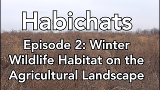 Habichats Episode 2: Winter Wildlife Habitat on Agricultural Lands