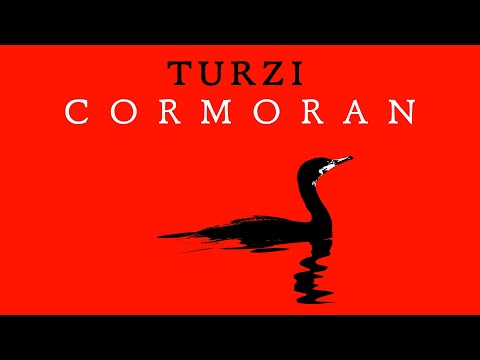 Turzi - Cormoran (Official Audio)