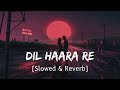 Dil Haara Slowed And Reverb Tashan Movie Sukhwinder Singh Life Of Rhythms