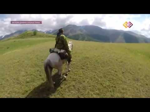 По следам Пржевальского. Зайсан