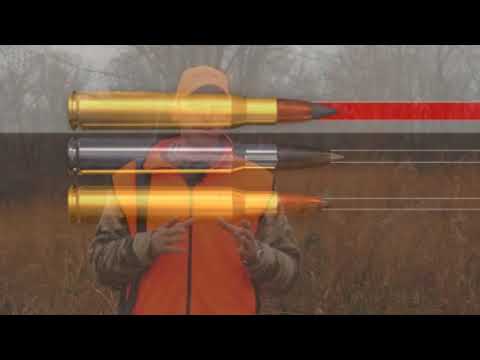 AMMO REVIEW:  .223 Winchester 64 gr Power-Point