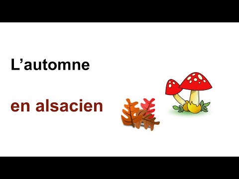 , title : 'Cours d'alsacien - 38 - L’automne 🍂'