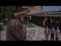 Donnie Darko - The Ancestral Fever
