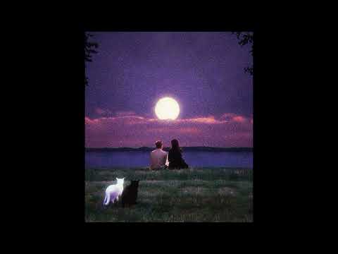 (free) smashing pumpkins x mgmt type beat "sirens"