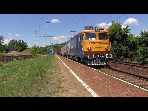 Tehervonatok Zebegényben / Freight trains in Zebegény