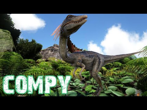 COMO TAMEAR UN COMPY DE FORMA FACIL / VAGA