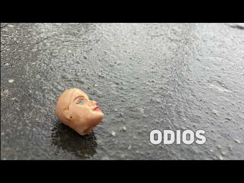 Niños de primaria hablan sobre los odios