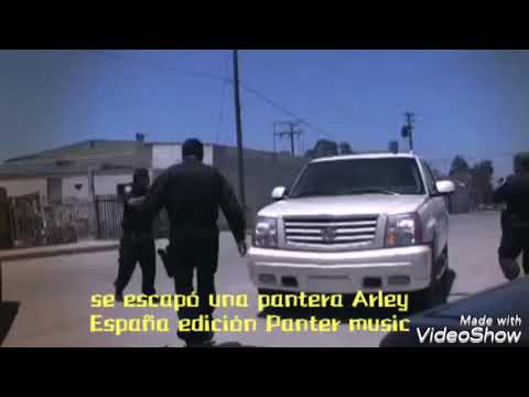 Arley España - Se Escapó Una Pantera (Video)