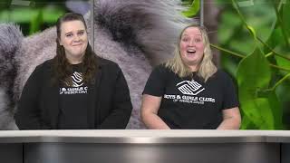 Domestic Animals BGCTV26