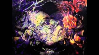 DANIELLE DAX evil honky stomp 1984