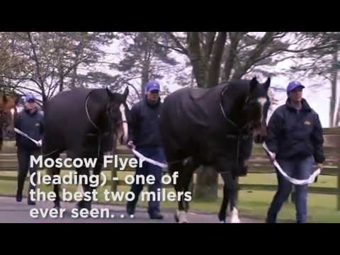 Moscow Flyer Tribute