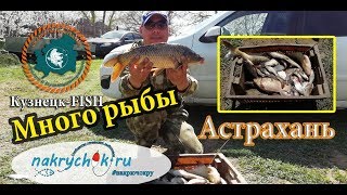 Рыболовные база сазаний угол