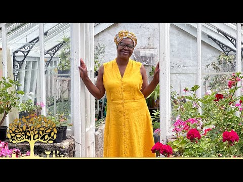 Gardeners’ World 2025 Ep29 | Monty’s New Woodland Garden & Autumn Colour Magic 🌳🍂