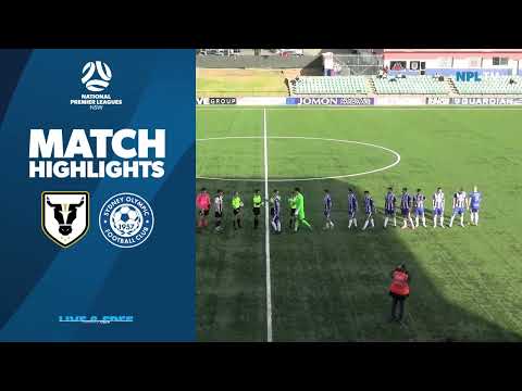 NPL NSW Men's Round 24 Fixture – Bulls FC Academy v Sydney Olympic