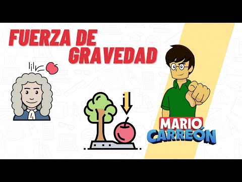 Fuerza de Gravedad 🍎