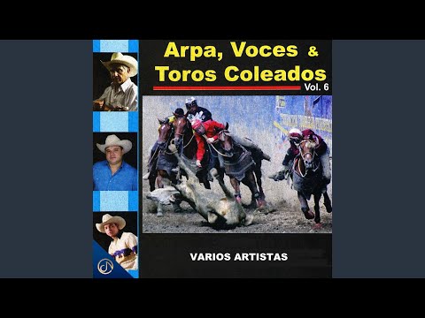 Que Te Pasa Coleador