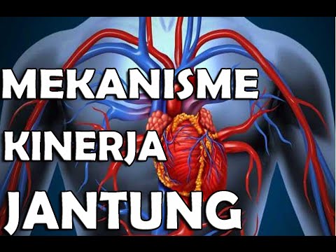 Banyak gadis bersemangat dan seorang pria Bagaimana meningkatkan ukuran penis