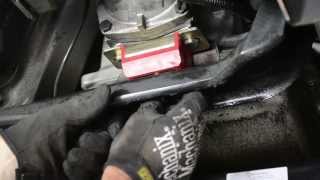 Poly-urethane Motor & Transmission Mounts - Presented By Andy's Auto Sport
