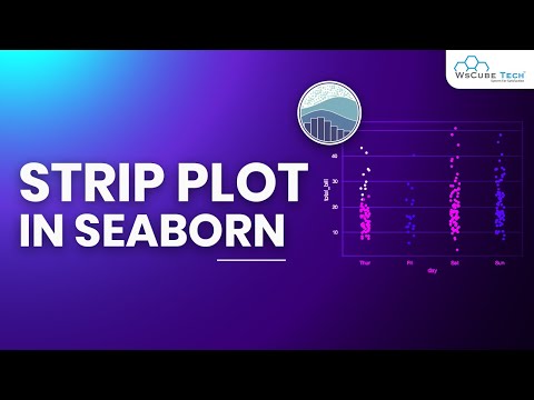 Seaborn Strip Plot Method in Python Complete Guide