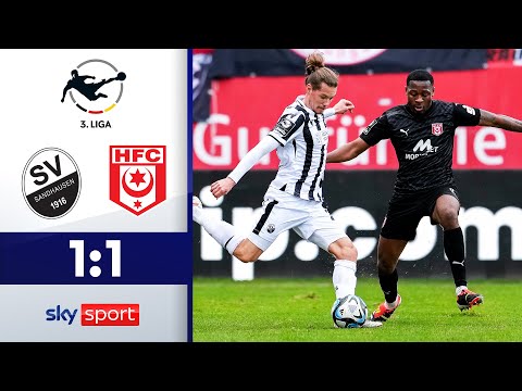 Mit Elfer zum Ausgleich! | SV Sandhausen - Hallescher FC | Highlights - 3. Liga 2023/24