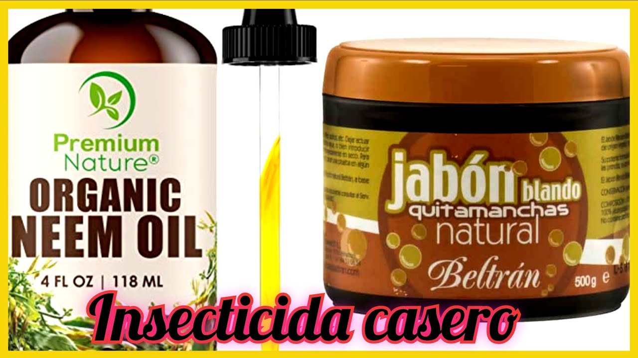 INSECTICIDA CASERO JABÒN POTASICO Y ACEITE DE NEEM
