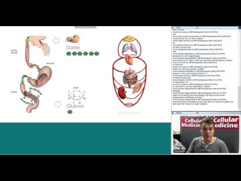 Wie der Blutzucker mit einem glucometer bestimmen Sprache für Diabetes