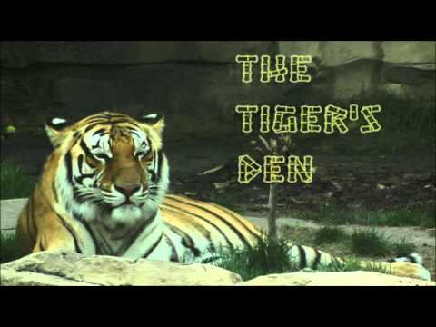 April 6th Trade What You See with Larry Pesavento on TFNN - 2016