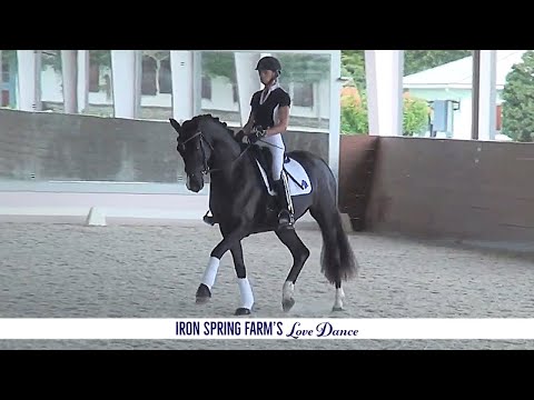 Iron Spring Farm's Love Dance, December 2020