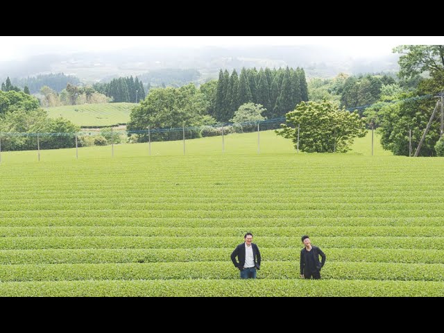 Judge.me YouTube video placeholder