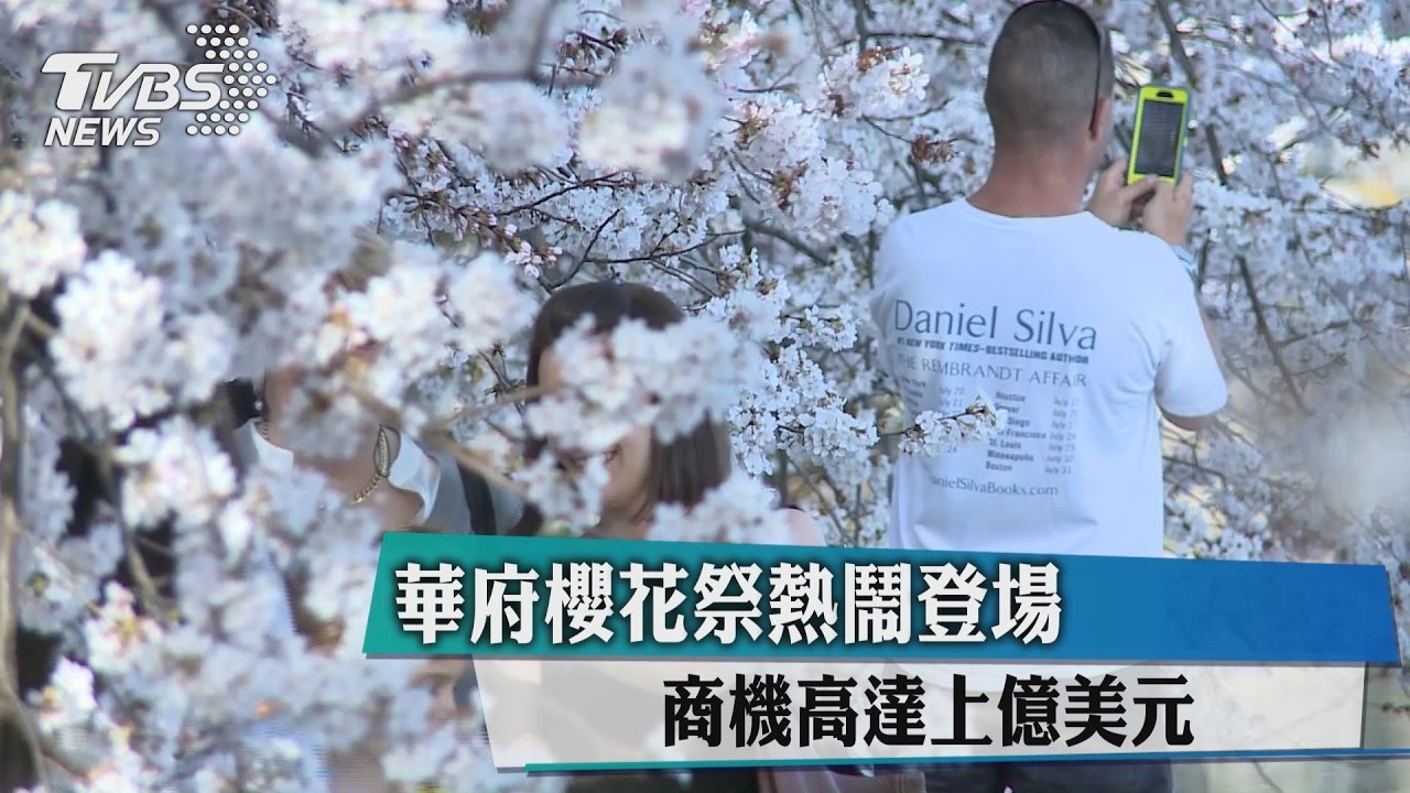 華府櫻花祭熱鬧登場　商機高達上億美元