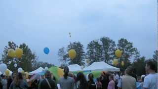 preview picture of video 'Sammardenchia (UD) - Festa degli Aquiloni - seconda parte'