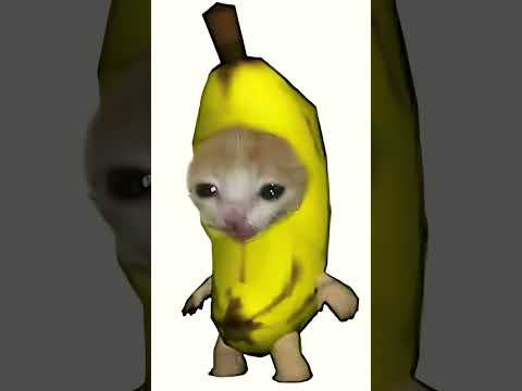 Banana cat happy happy happy song