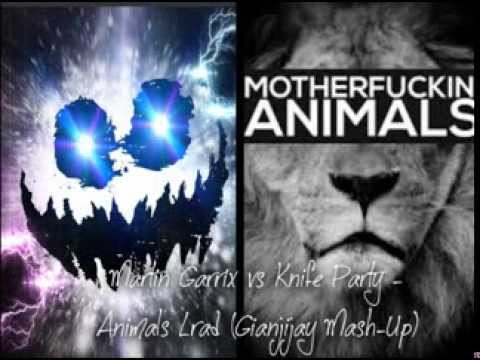 Martin Garrix vs Knife Party Animals Lrad ( Gianjijay Mash Up )