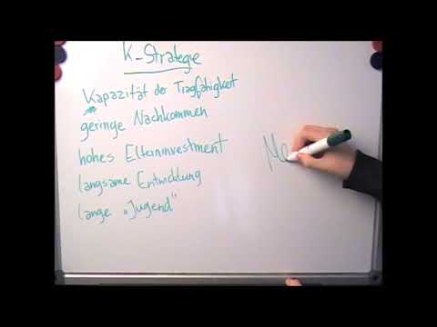 K Strategie