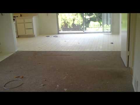 2 Bed Apartment For Rent In Santa Monica - 4th St/Raymond Ave -  562Rent.com