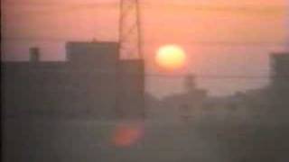 Marilyn Scott - "Back To You"