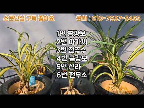 유튜브 썸네일