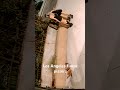 Los Angeles Finest Girls Peeing Into Planter
