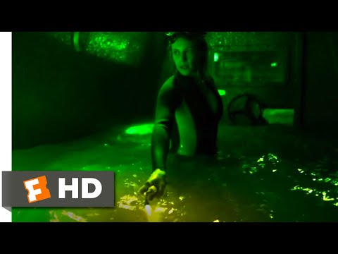 ディープ・ブルー・シー2（2018）』サメに囲まれるシーン（8/10）｜Movieclips (Deep Blue Sea 2 (2018) - Surrounded by Sharks Scene (8/10) | Movieclips)