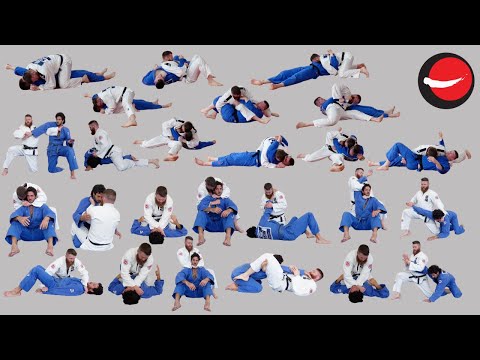 Katame Waza || Grappling Techniques - 32 Holds, Strangles/Chokes and Armlocks