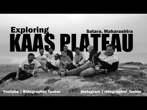 Exploring Kaas Plateau - Part 1 | Kaas Pathar | Satara Maharashtra