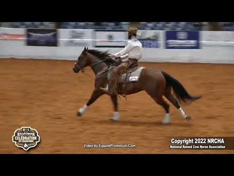 SJR Diamond Icon shown by Matt J Koch - 2022 Celebration of Champions,  Open Hackamore