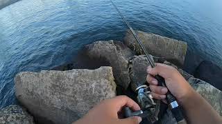 Catching some white bass on LAKE ERIE for FUN