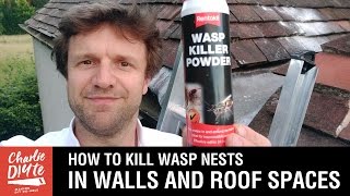 How to Kill Wasps Nests in Walls and Roof Spaces
